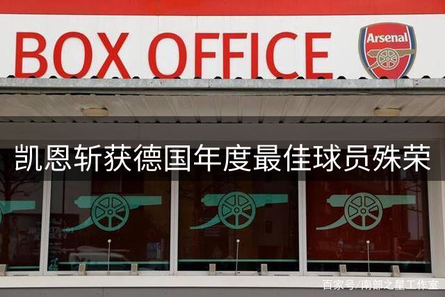 凯恩斩获德国年度最佳球员殊荣