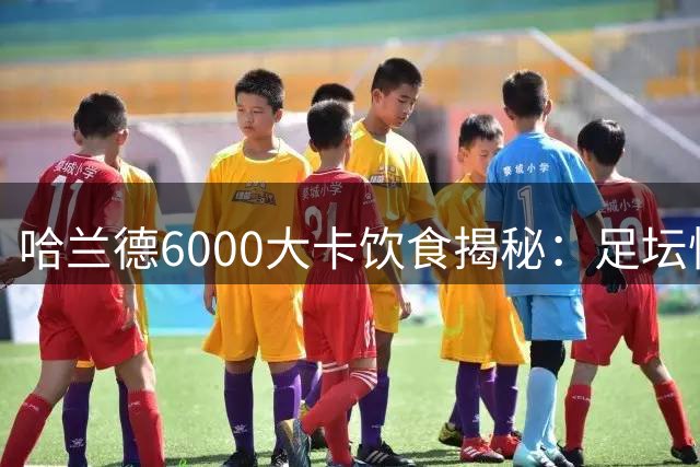 哈兰德6000大卡饮食揭秘：足坛怪物的营养密码